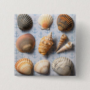 Seashells On Anchor Backdrop 15 Cm Square Badge