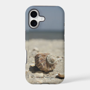Seashells On Sand By The Sea