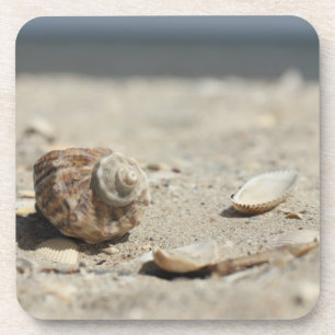 Seashells On Sand By The Sea Coaster