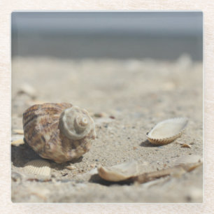 Seashells On Sand By The Sea Glass Coaster