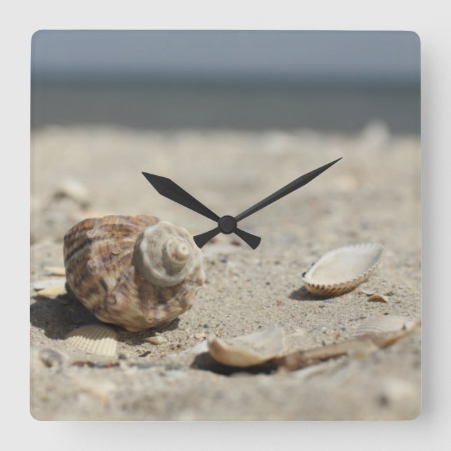 Seashells On Sand By The Sea Square Wall Clock (Front)