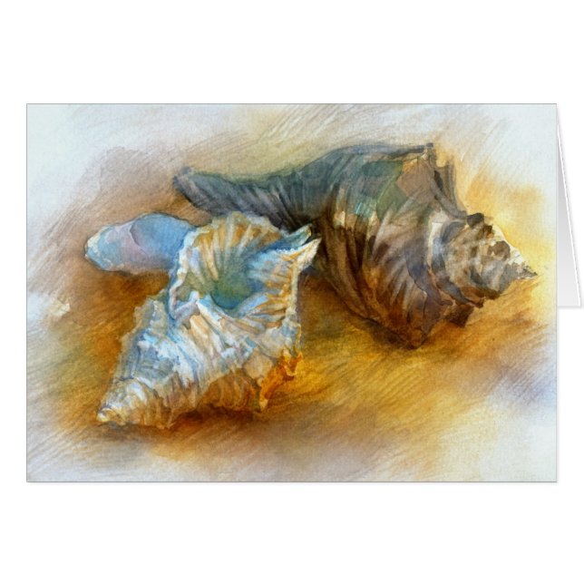 Seashells on the beach (Front Horizontal)