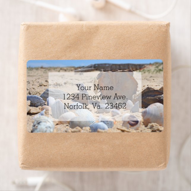 Seashells on the Beach by Shirley Taylor (Insitu)
