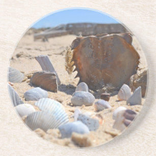 Seashells on the Beach by Shirley Taylor Coaster