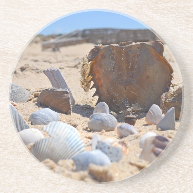 Seashells on the Beach by Shirley Taylor Coaster (Front)