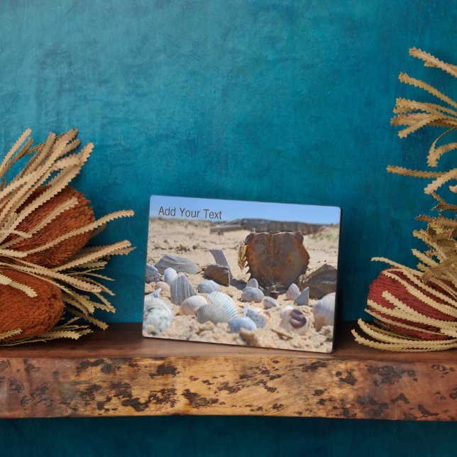 Seashells on the Beach by Shirley Taylor Plaque (Side)
