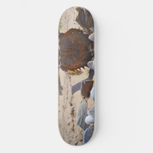 Seashells on the Beach by Shirley Taylor Skateboard