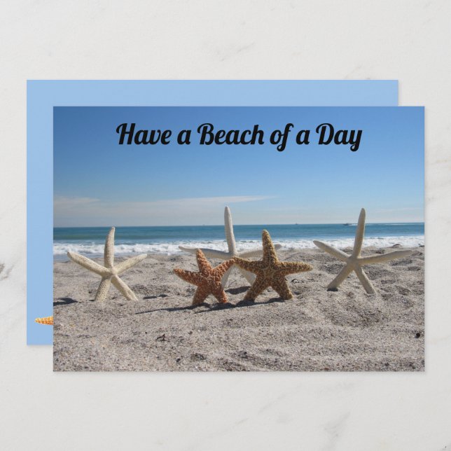 Seashells on the Beach - Florida Life - Flat Card (Front/Back)