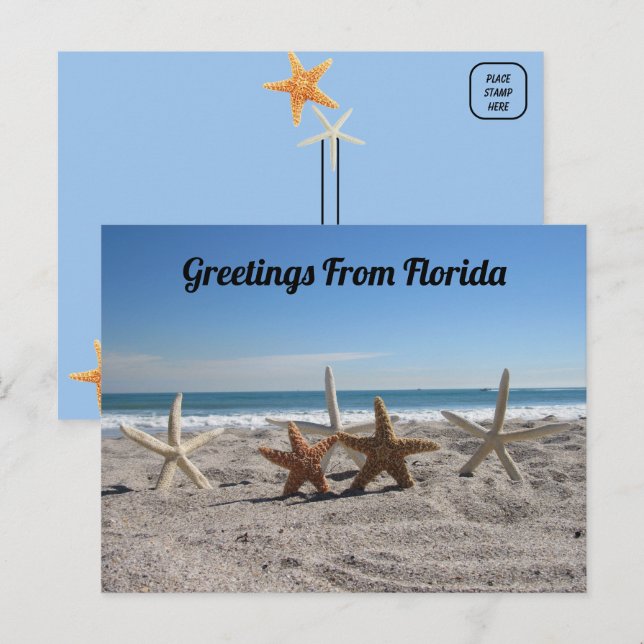 Seashells on the Beach - Florida Life Postcard (Front/Back)
