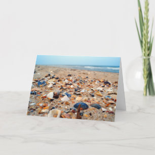 Seashells on the Beach Greeting Card