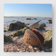 Seashells on the beach in Florida wall clock