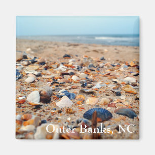 Seashells on the Beach Magnet