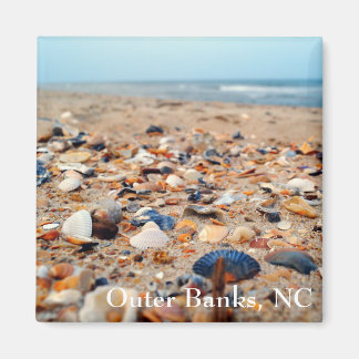 Seashells on the Beach Magnet