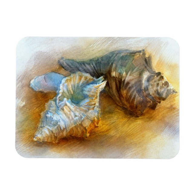 Seashells on the beach magnet (Horizontal)