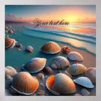 Seashells on the Beach