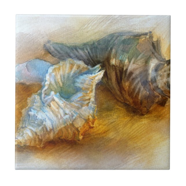 Seashells on the beach tile (Front)
