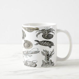 Seashells on the Seashore Coffee Mug