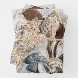 Seashells on the White Sant Beach Wrapping Paper Sheet