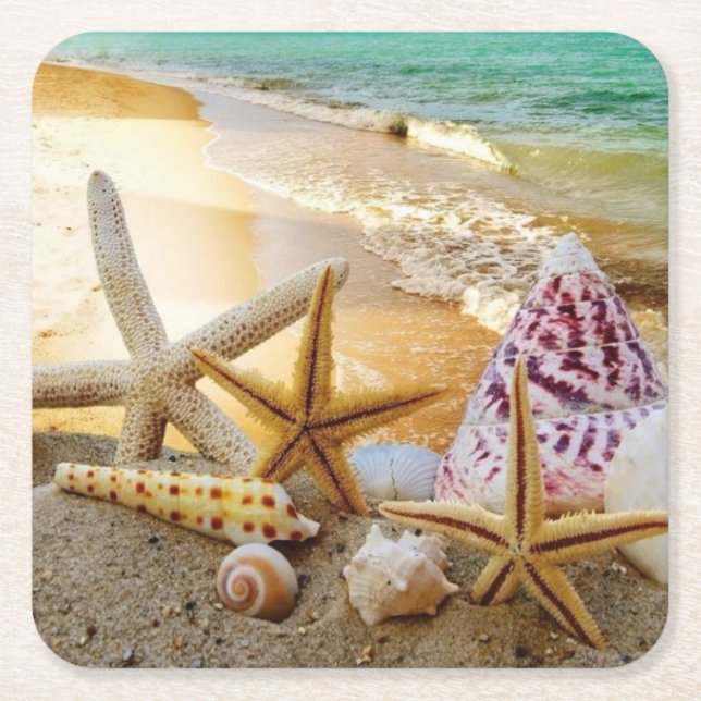 Seashells Paper Coasters (Front)