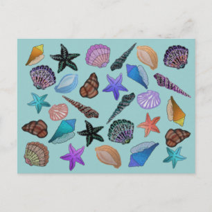 Seashells Postcard