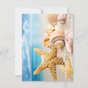 Seashells  postcard