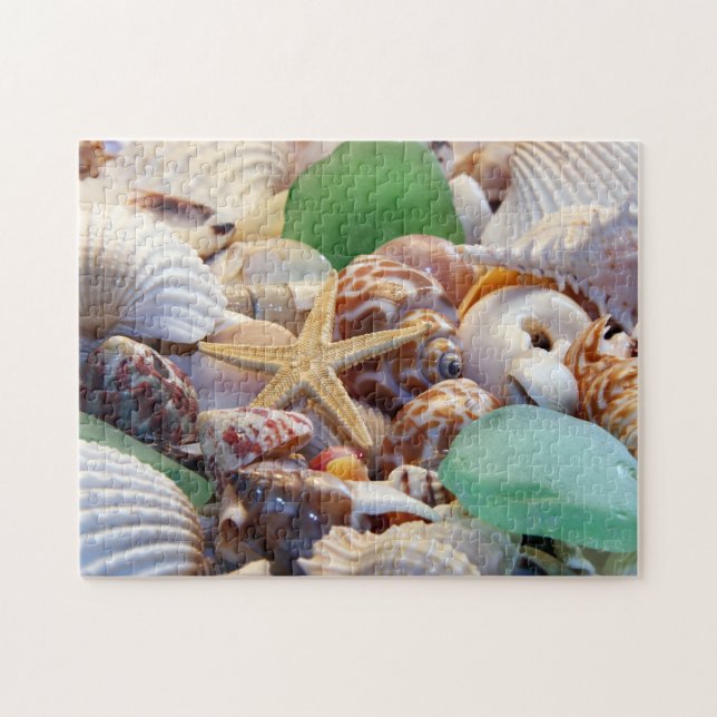Seashells Puzzle (Horizontal)