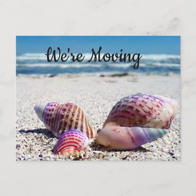 Seashells Sandy Beach Ocean Change of Address Announcement Postcard (Front)