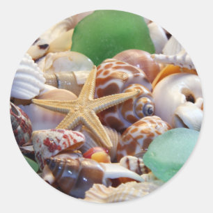 Seashells Starfish & Beach Glass Stickers