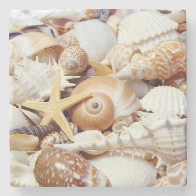 Seashells Stone Coaster (Front)