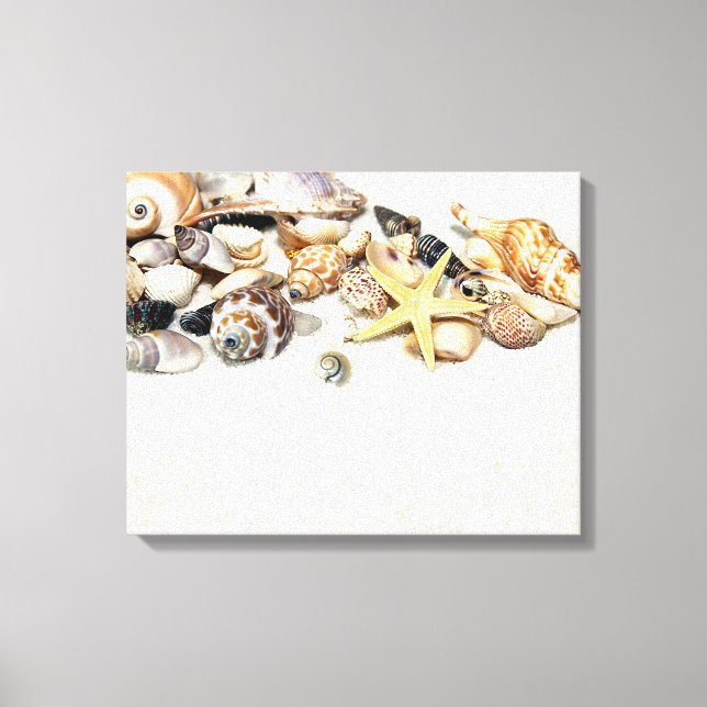Seashells Stretched Canvas Print (Front)