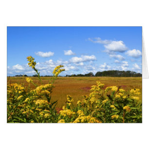 Seashore Marsh Notecard