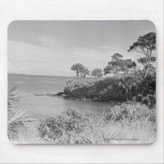 Seashore Mouse Mat