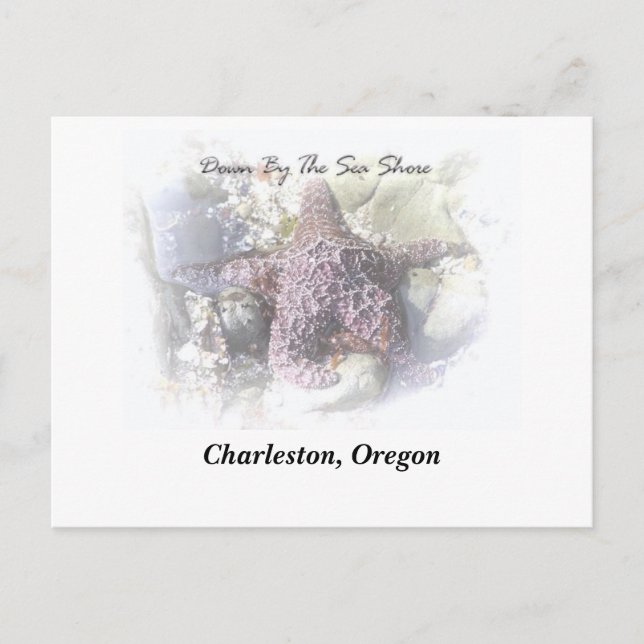 Seashore Postcard (Front)