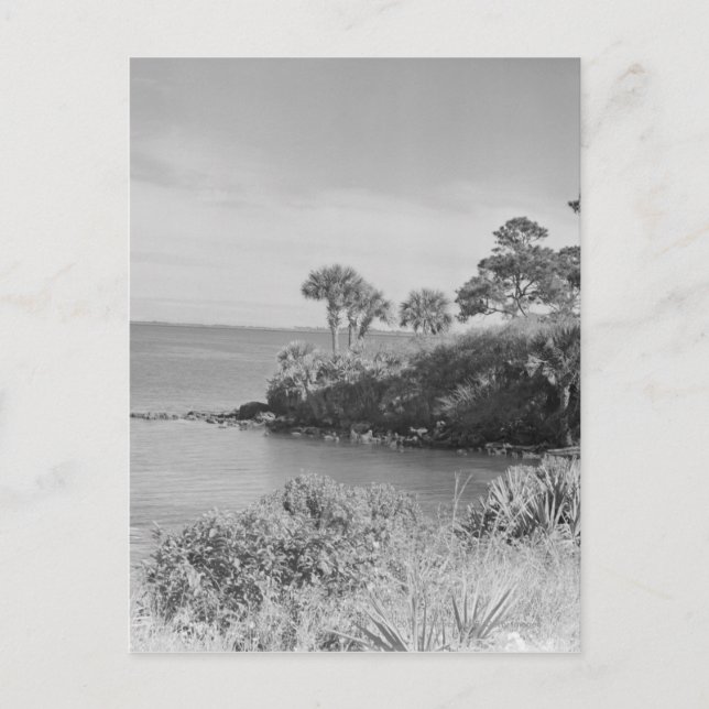 Seashore Postcard (Front)