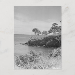Seashore Postcard