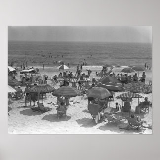 Seashore Poster
