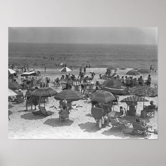 Seashore Poster (Front)