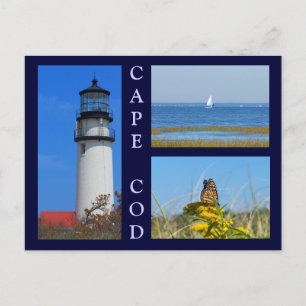 Seashore Scenes Postcard