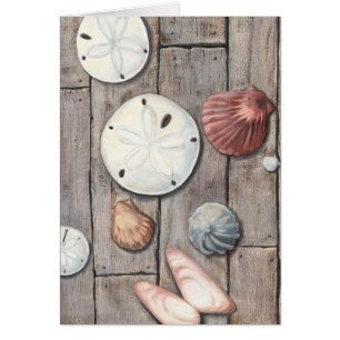 Seashore Treasures