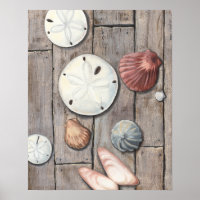 Seashore Treasures