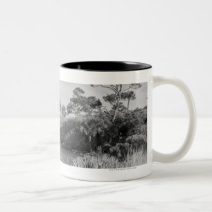 Seashore Two-Tone Coffee Mug