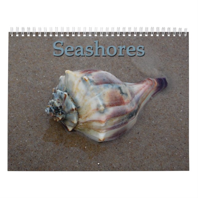Seashores Calendar (Cover)