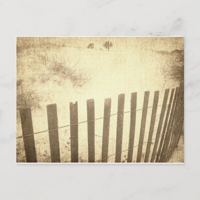 Seaside beach fence postcard (Front)