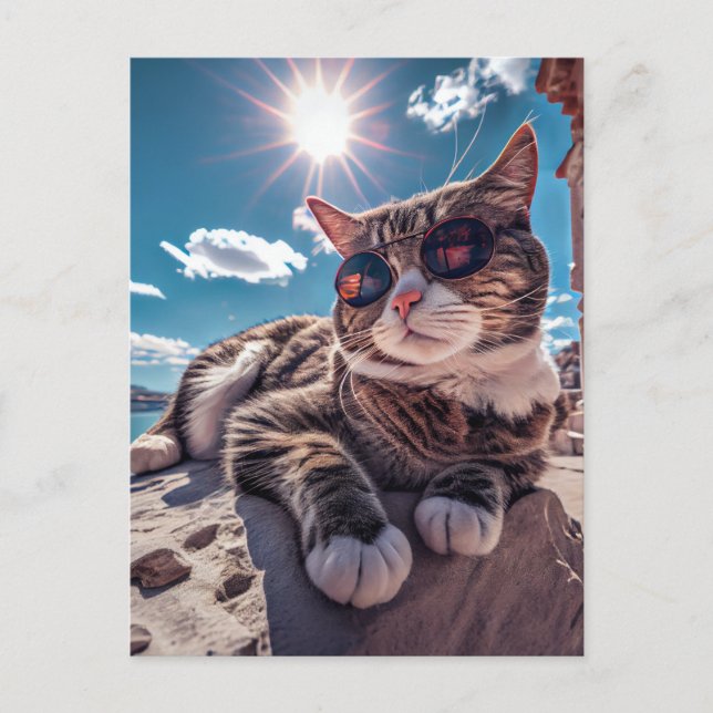Seaside Cat Wearing Sunglasses Postcard (Front)