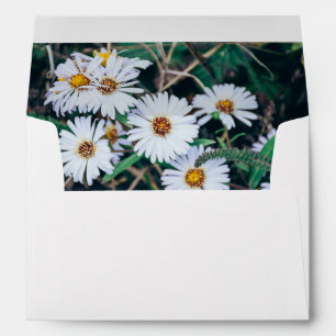 Seaside Daisies Envelope