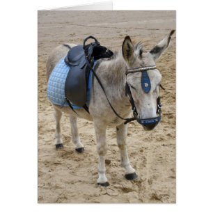 Seaside Donkey