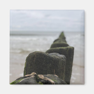 Seaside Magnet