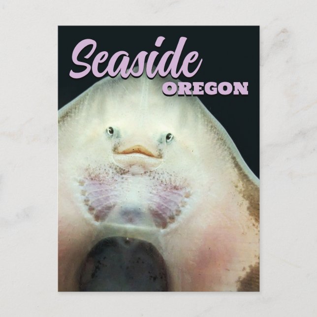 Seaside, Oregon Skate Animal Postcard (Front)