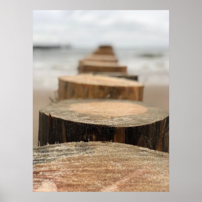 Seaside Poster (Front)