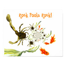 Seaside Rock Pool Funny Crabs Fish
